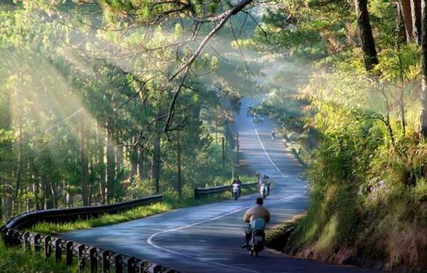 Cẩm nang du lịch Đà Lạt