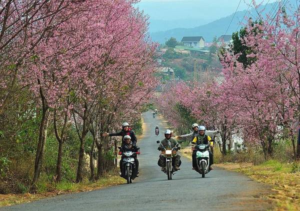 Cẩm nang du lịch Đà Lạt