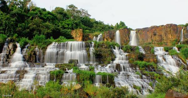 Cẩm nang du lịch Đà Lạt