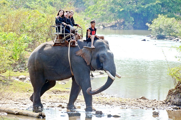 Tour Măng Đen - Kom Tum - Gia Lai - Buôn Mê Thuột