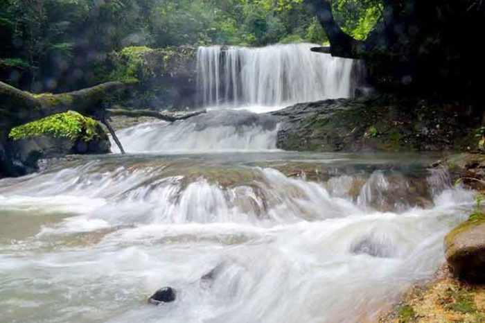 Du lịch Tà Đùng - Vịnh Hạ Long Tây Nguyên